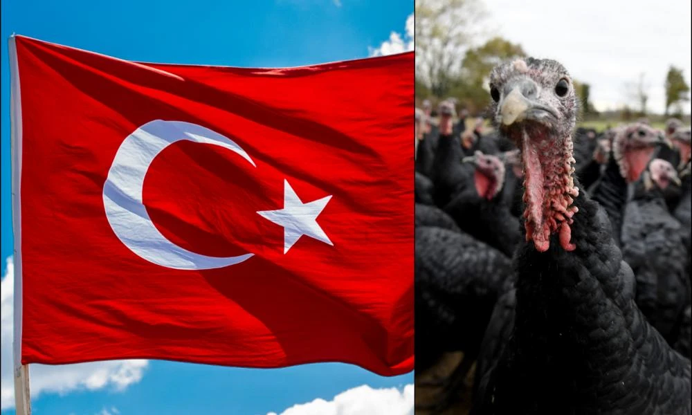 Τρολάρουν την κυβέρνηση Ερντογάν: Αίτημα να μετονομαστεί η γαλοπούλα (turkey) σε... Türkiye (Τουρκία)